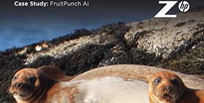 HP Z Data Science Success Story: FruitPunch AI