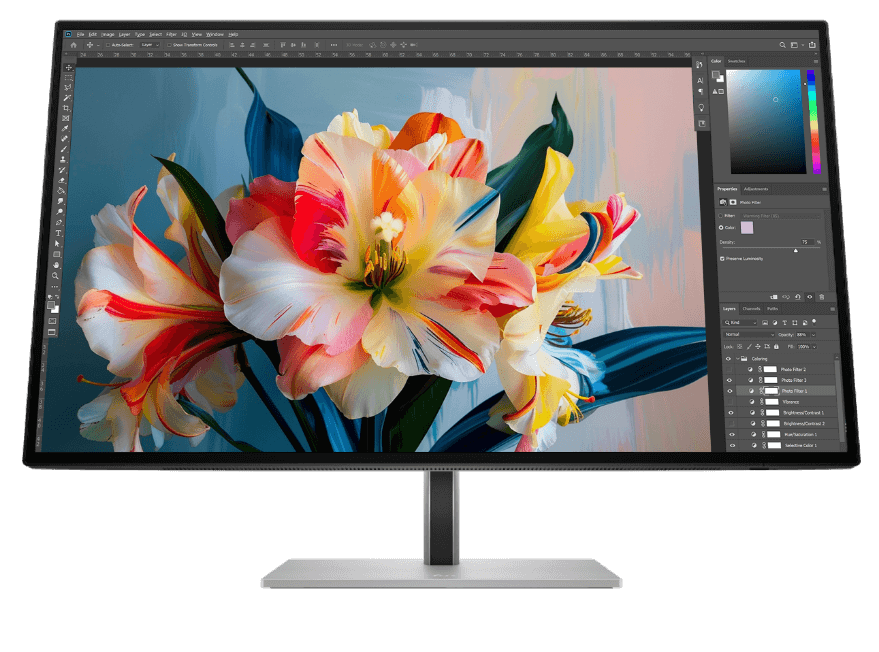 HP monitor with graphic editing software interface on the screen.